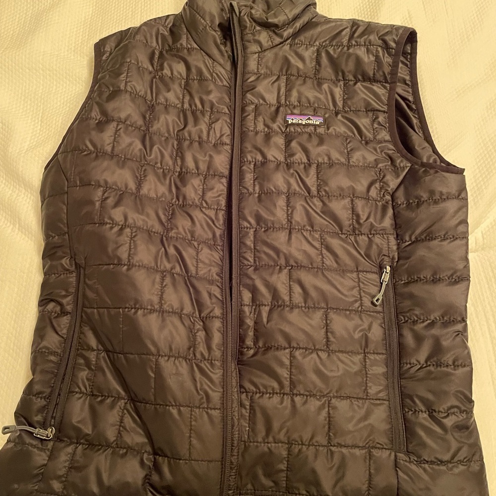 Mens Patagonia vest